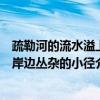 疏勒河的流水溢上岸边丛杂的小径（关于疏勒河的流水溢上岸边丛杂的小径介绍）