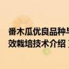 番木瓜优良品种与高效栽培技术（关于番木瓜优良品种与高效栽培技术介绍）