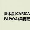 番木瓜(CARICAPAPAYA)果提取物（关于番木瓜(CARICAPAPAYA)果提取物介绍）
