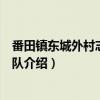 番田镇东城外村志愿服务队（关于番田镇东城外村志愿服务队介绍）