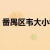 番禺区韦大小学（关于番禺区韦大小学介绍）