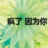 疯了 因为你！（关于疯了 因为你！介绍）