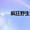 疯狂野生活（关于疯狂野生活介绍）
