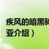 疾风的暗黑骑士盖亚（关于疾风的暗黑骑士盖亚介绍）