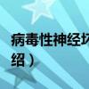 病毒性神经坏死病（关于病毒性神经坏死病介绍）
