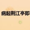 病起荆江亭即事（关于病起荆江亭即事介绍）