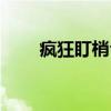 疯狂盯梢令（关于疯狂盯梢令介绍）