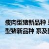 瘦肉型猪新品种 系及配套技术的创新研究与开发（关于瘦肉型猪新品种 系及配套技术的创新研究与开发介绍）