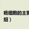 癌细胞的主要特征（关于癌细胞的主要特征介绍）