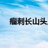瘤刺长山头虫（关于瘤刺长山头虫介绍）