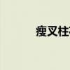 瘦叉柱花（关于瘦叉柱花介绍）