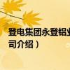 登电集团永登铝业有限公司（关于登电集团永登铝业有限公司介绍）