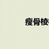 瘦骨棱棱（关于瘦骨棱棱介绍）