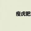 瘦虎肥龙（关于瘦虎肥龙介绍）