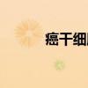 癌干细胞（关于癌干细胞介绍）