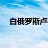白俄罗斯卢布（关于白俄罗斯卢布介绍）