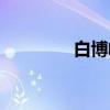 白博峰(关于白博峰介绍) 白博峰(关于白博峰介绍)