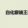 白化眼镜王蛇（关于白化眼镜王蛇介绍）