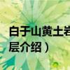 白于山黄土岩石地层（关于白于山黄土岩石地层介绍）