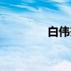 白伟杰（关于白伟杰介绍）