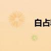 白占群（关于白占群介绍）