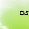 白占元（关于白占元介绍）