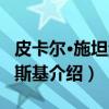 皮卡尔·施坦洛夫斯基（关于皮卡尔·施坦洛夫斯基介绍）