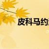 皮科马约河（关于皮科马约河介绍）