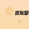 皮埃蒙特（关于皮埃蒙特介绍）