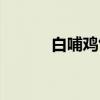 白哺鸡竹（关于白哺鸡竹介绍）