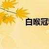 白喉冠鹎（关于白喉冠鹎介绍）