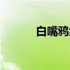 白嘴鸦级（关于白嘴鸦级介绍）