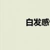 白发感怀（关于白发感怀介绍）