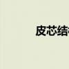 皮芯结构（关于皮芯结构介绍）