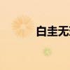 白圭无玷（关于白圭无玷介绍）