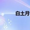 白土月饼（关于白土月饼介绍）