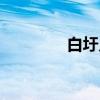 白圩乡（关于白圩乡介绍）