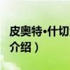 皮奥特·什切潘斯基（关于皮奥特·什切潘斯基介绍）