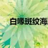 白喙斑纹海豚（关于白喙斑纹海豚介绍）