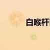 白喉杆菌（关于白喉杆菌介绍）