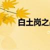 白土岗之战（关于白土岗之战介绍）