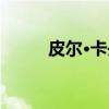 皮尔·卡丹（关于皮尔·卡丹介绍）