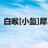 白喉[小盔]犀鸟（关于白喉[小盔]犀鸟介绍）