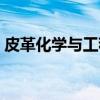 皮革化学与工程（关于皮革化学与工程介绍）