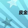 皮金语（关于皮金语介绍）