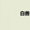 白善宇（关于白善宇介绍）
