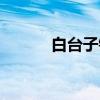 白台子镇(关于白台子镇介绍) 白台子镇(关于白台子镇介绍)