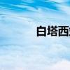 白塔西站（关于白塔西站介绍）