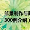 盆景制作与养护300例（关于盆景制作与养护300例介绍）