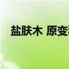 盐肤木 原变种（关于盐肤木 原变种介绍）